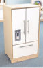 Picture of Contemporary Refrigerator